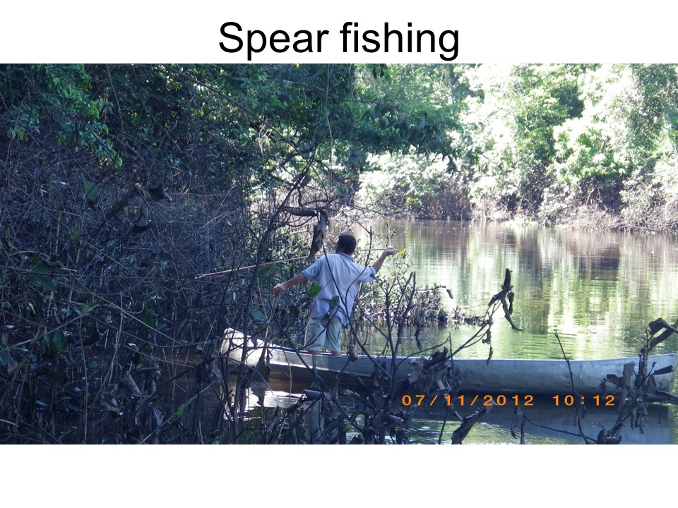 Spear fishing.jpg